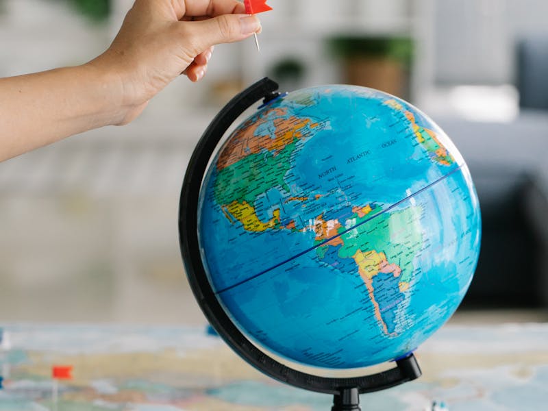 pexels-photo-8828360